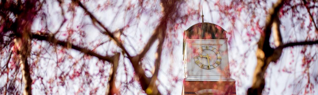 clocktower through flowers